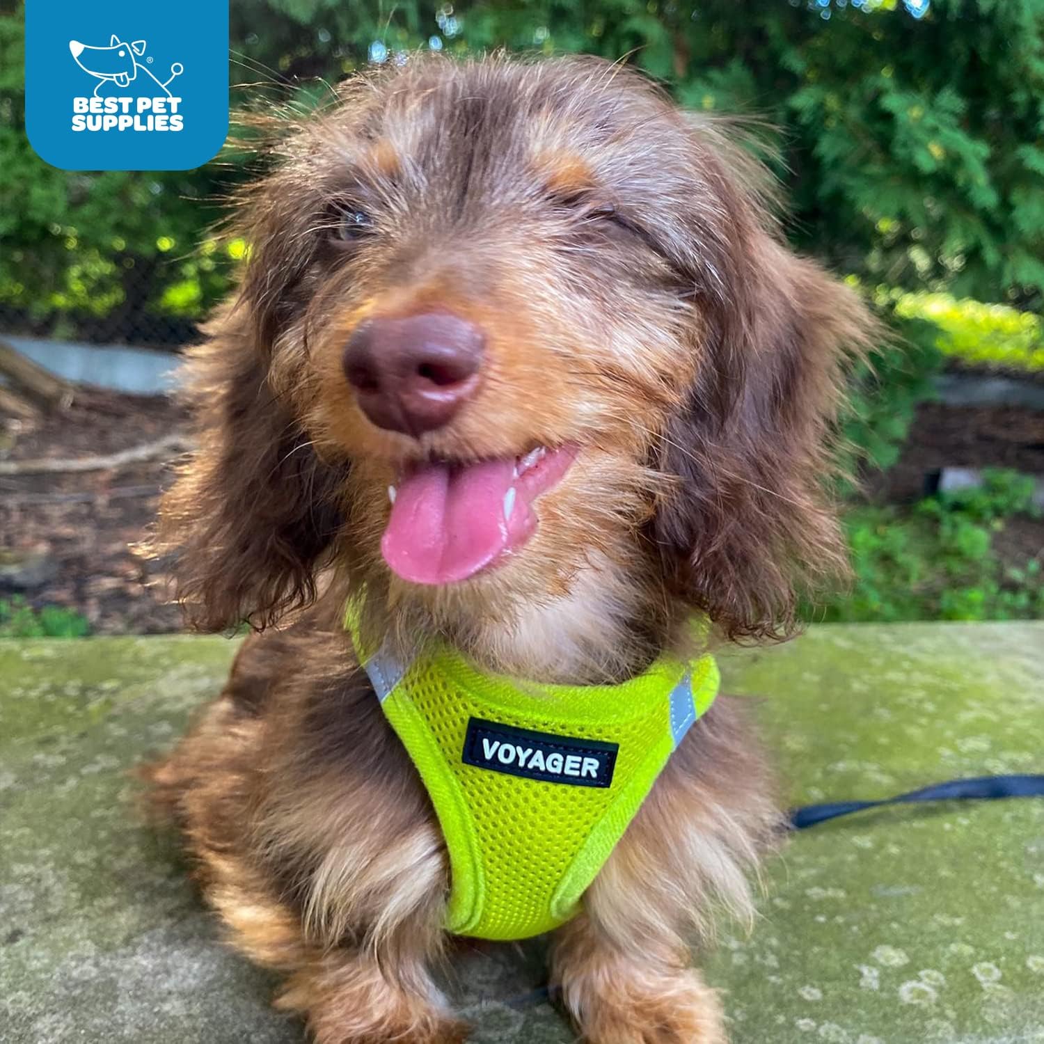 Voyager Step-In Air Harness - All Weather Mesh, Reflective, No Pull Harness for Dogs, Cats - Secure with Hook & Loop Fastener, Buckle, Double D-Rings - Lime Green, XXS