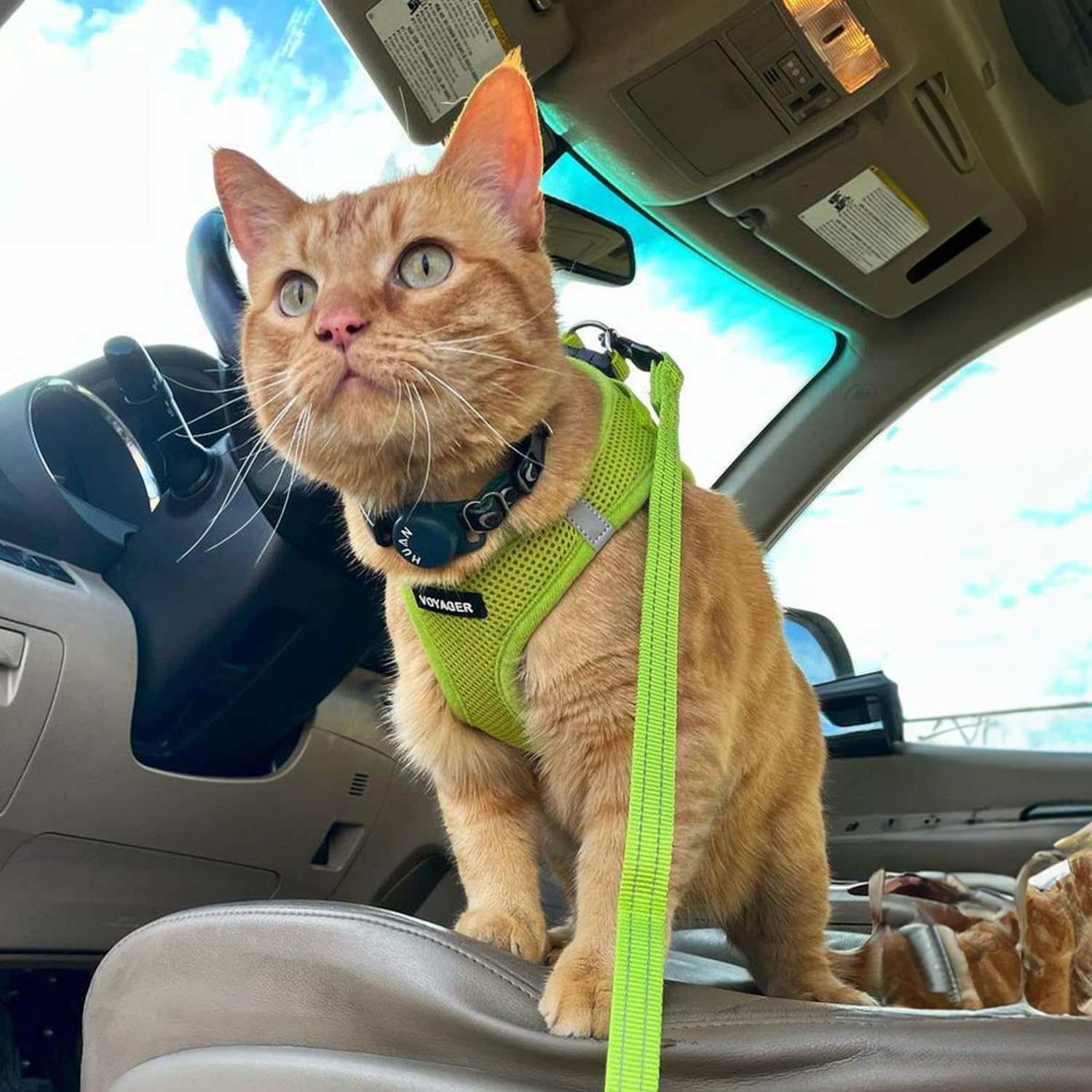 Voyager Step-In Air Harness - All Weather Mesh, Reflective, No Pull Harness for Dogs, Cats - Secure with Hook & Loop Fastener, Buckle, Double D-Rings - Lime Green, XXS