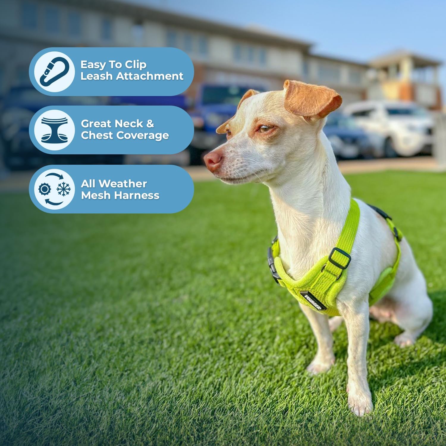 Voyager Step-In Air Harness - All Weather Mesh, Reflective, No Pull Harness for Dogs, Cats - Secure with Hook & Loop Fastener, Buckle, Double D-Rings - Lime Green, XXS