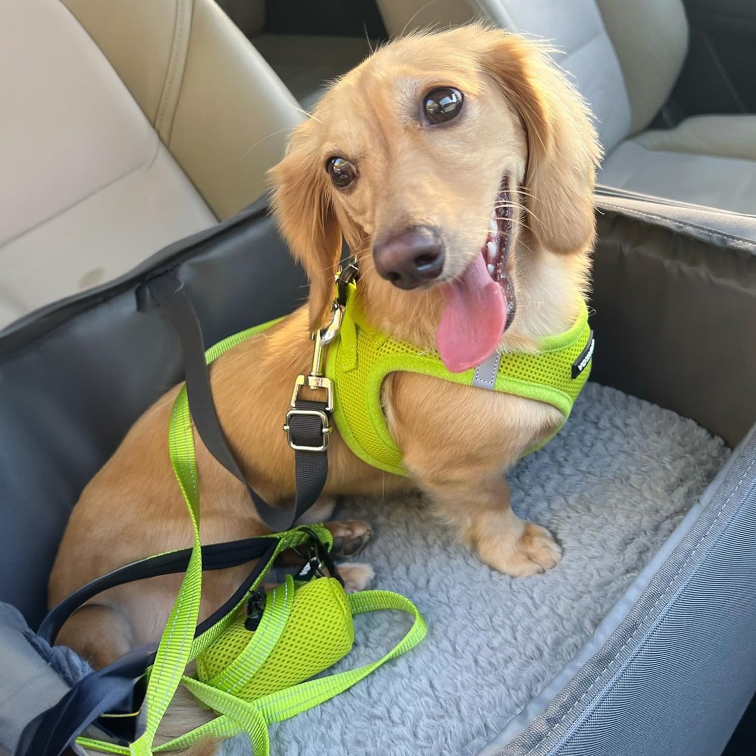 Voyager Step-In Air Harness - All Weather Mesh, Reflective, No Pull Harness for Dogs, Cats - Secure with Hook & Loop Fastener, Buckle, Double D-Rings - Lime Green, XXS