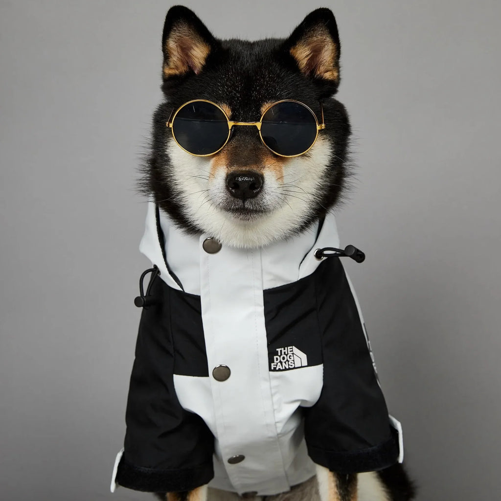 Dog Clothes Raincoat for Small Big Dogs Wind Coat Windbreaker French Bulldog Hoodie