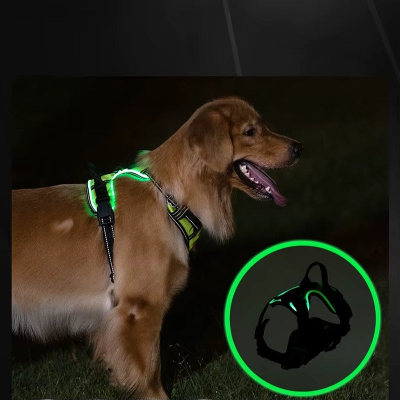LED Glowing Luminous Dog Harnesses Essential for Dog Walking Safety at Night Dog Vest with Three LED Light Modes Rechargeable